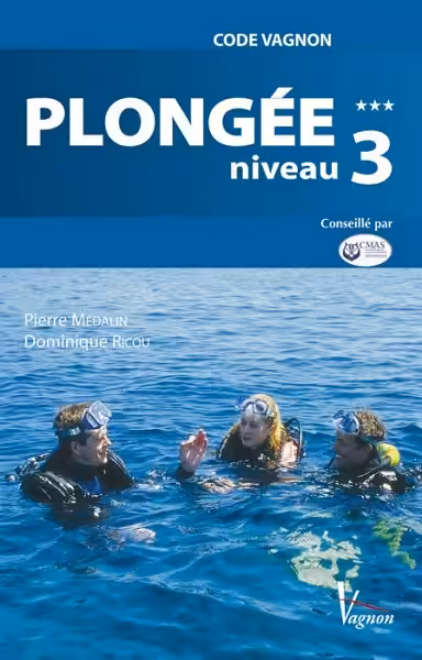 Des plongeurs expérimentés échangent en surface, illustrant l'importance de la formation avancée pour explorer les profond...