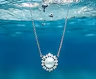 Collier Plongee Sous Marine