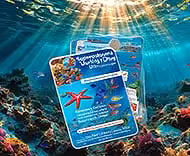 Guide Plaquettes Immergeables Plongee