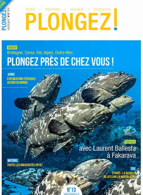Explorez les merveilles sous-marines locales avec notre dossier sur la plongée en Bretagne, Corse et Outre-Mer. #Explorati...
