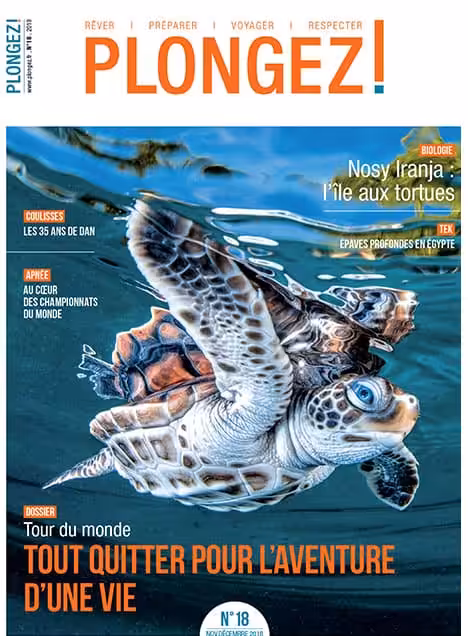 Explorez Nosy Iranja, l'île aux tortues, pour une aventure marine inoubliable et respectueuse de l'environnement.