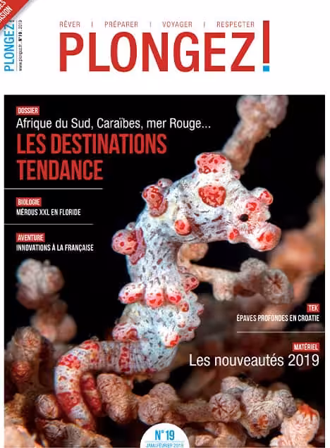 Explorez les destinations tendance de plongée, de l'Afrique du Sud à la mer Rouge, pour des aventures sous-marines inoubli...