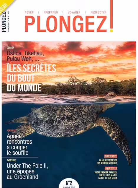 Une tortue marine nage sous un coucher de soleil flamboyant, illustrant l'évasion exotique et la biodiversité marine.