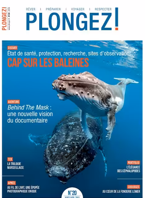 Explorez le monde fascinant des baleines avec des insights sur leur santé et leur protection dans ce numéro captivant de P...