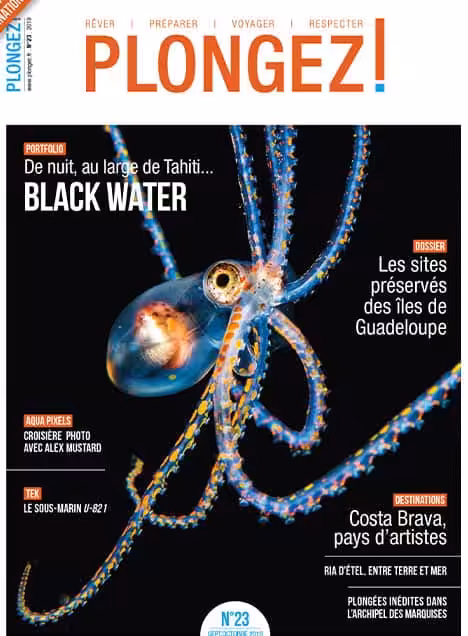 Plongez dans les mystères nocturnes de Tahiti avec "Black Water", une aventure captivante pour les passionnés de plongée.