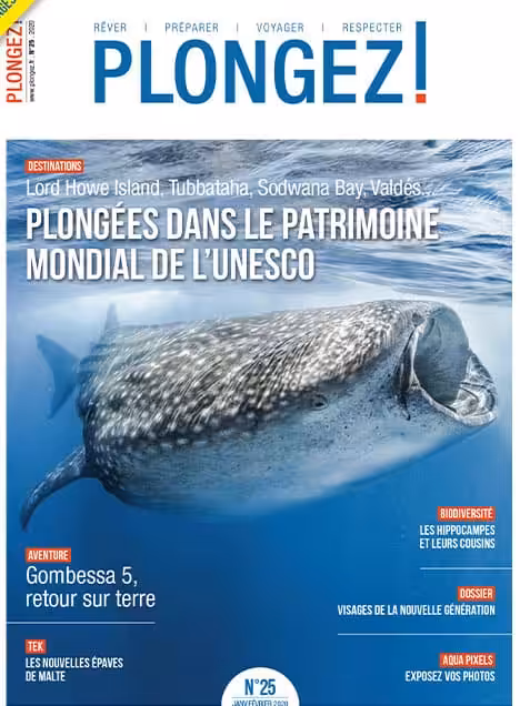 Explorez les merveilles sous-marines de l'UNESCO avec des plongées inoubliables au cœur de la biodiversité océanique.