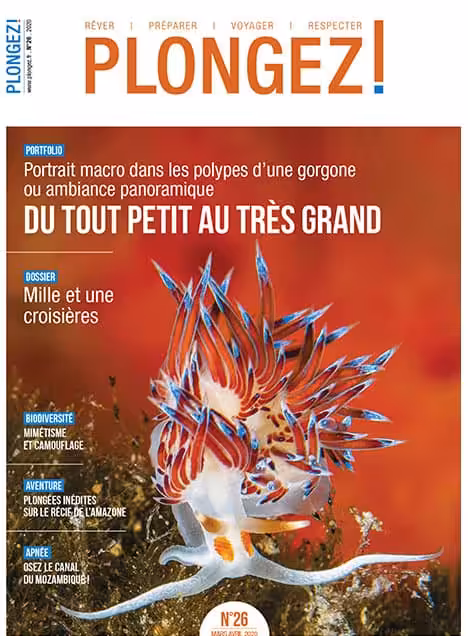 Explorez la biodiversité marine avec un focus sur le mimétisme et le camouflage dans ce numéro captivant de Plongez!
