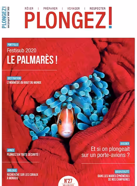 Un poisson-clown se cache dans une anémone colorée, illustrant la biodiversité fascinante des récifs coralliens.