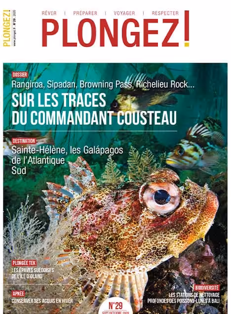 Explorez les mystères sous-marins de Sainte-Hélène, un paradis pour les passionnés de plongée et d'aventure marine.