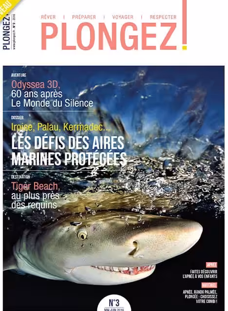 Plongez au cœur des défis des aires marines protégées avec un focus captivant sur Tiger Beach et ses majestueux requins.