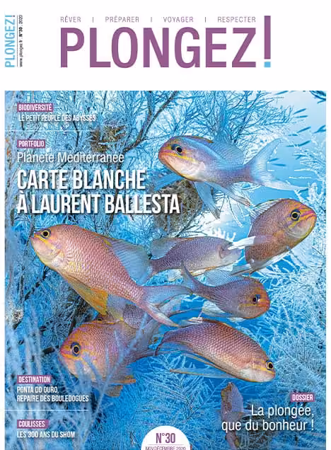 Explorez la biodiversité marine méditerranéenne avec Laurent Ballesta, où la plongée révèle des trésors sous-marins fascin...