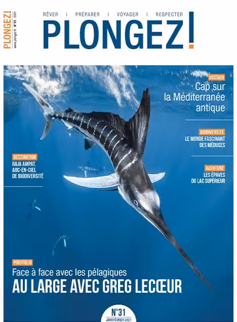 Découvrez les merveilles des pélagiques en explorant les profondeurs marines aux côtés du photographe Greg Lecoeur. #Biodi...