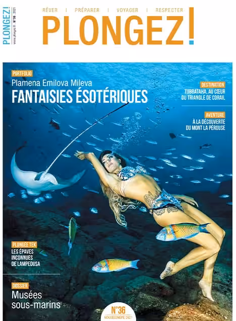 Une plongeuse évolue gracieusement parmi les poissons tropicaux, illustrant la magie sous-marine du Triangle de Corail.