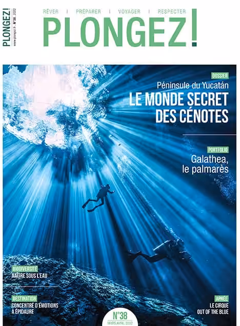 Explorez le monde secret des cénotes du Yucatán, un paradis sous-marin fascinant pour les passionnés de plongée.