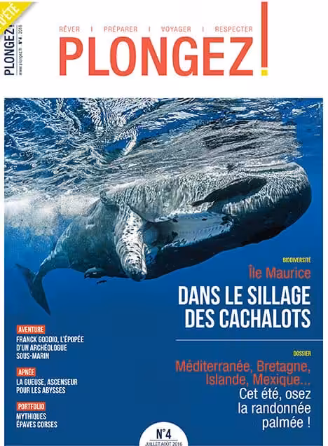 Explorez la biodiversité marine en suivant les majestueux cachalots au large de l'île Maurice. #Plongée