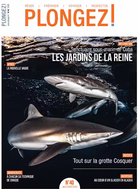 Découvrez les merveilles marines des Jardins de la Reine à Cuba, un sanctuaire fascinant pour les passionnés de plongée.