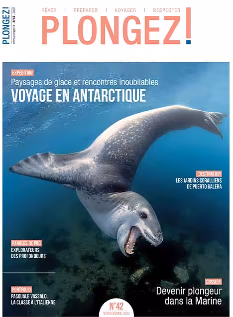 Explorez les merveilles glacées de l'Antarctique avec des rencontres marines fascinantes, un voyage inoubliable. #Expédition