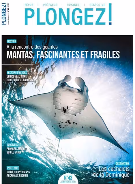 Explorez la majesté des raies mantas, symboles de la biodiversité marine, dans ce numéro captivant de Plongez!