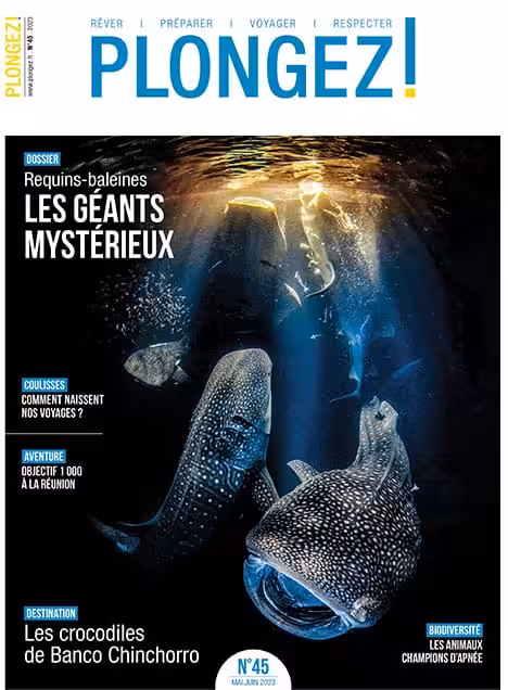 Plongez au cœur de l'océan avec les majestueux requins-baleines, symboles de la biodiversité marine fascinante.