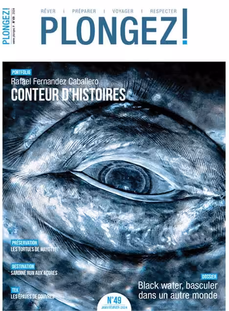 Explorez les mystères de la plongée nocturne avec le dossier "Black water", une immersion fascinante dans l'inconnu océani...