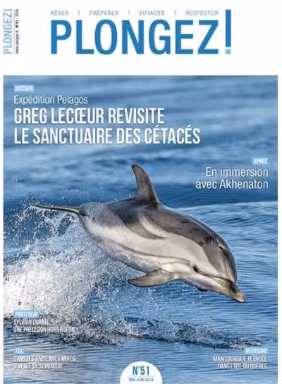 Un dauphin bondit gracieusement hors de l'eau, illustrant la beauté du sanctuaire marin exploré dans ce numéro de Plongez!