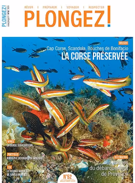 Explorez la biodiversité marine préservée de Corse avec ses récifs colorés et poissons multicolores, un paradis pour les p...