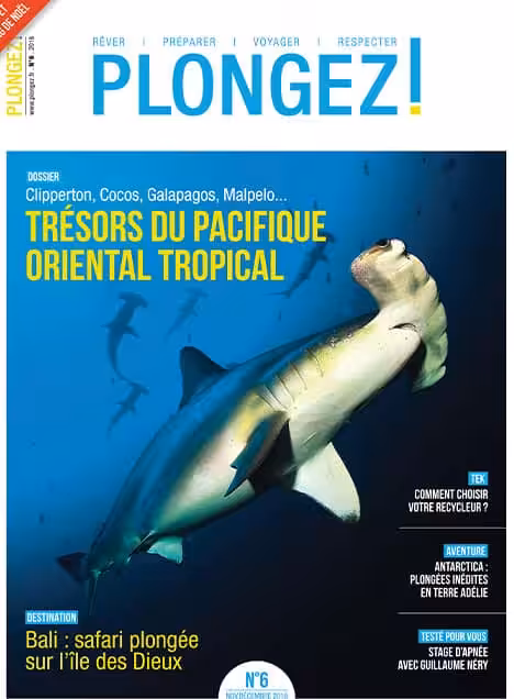 Plongez dans les eaux fascinantes du Pacifique oriental tropical, où les requins-marteaux offrent un spectacle inoubliable.