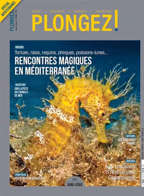 Découvrez les merveilles sous-marines de la Méditerranée avec des rencontres fascinantes, comme ce majestueux hippocampe. ...