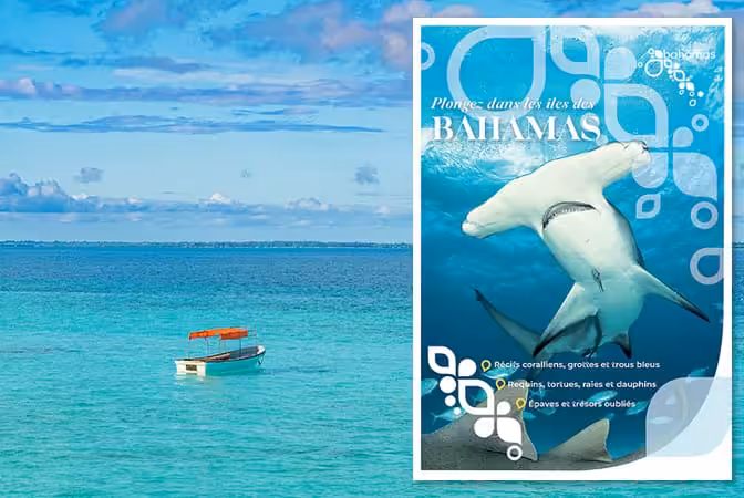 Explorez les eaux cristallines des Bahamas, un paradis pour les plongeurs avec ses récifs coralliens et sa faune marine sp...