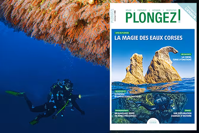 Explorez la Corse, un paradis sous-marin offrant des paysages époustouflants et une biodiversité exceptionnelle. #Plongée