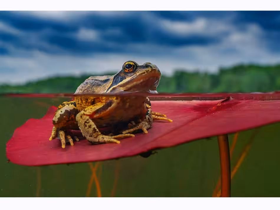 1er Mi Air Mi Eau Luc Rooman Dpg Masters 2024