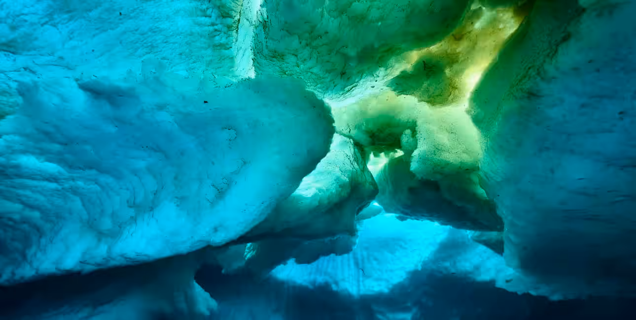 Sous la glace turquoise de l'Arctique, un monde sous-marin fascinant se dévoile, offrant une perspective unique sur l'envi...