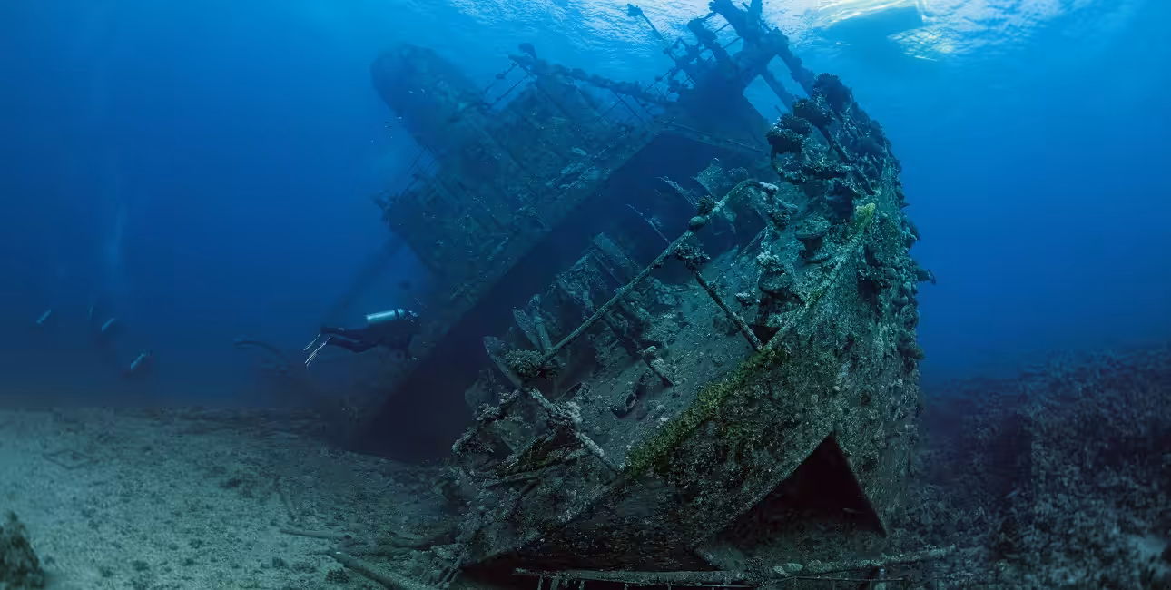 Des plongeurs explorent l'épave captivante d'un navire, offrant un aperçu fascinant de l'histoire maritime sous-marine.