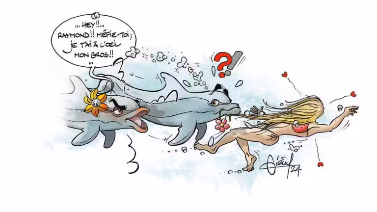 Deux dauphins espiègles interagissent avec une plongeuse sous-marine, illustrant la curiosité de la faune marine. #Plongée