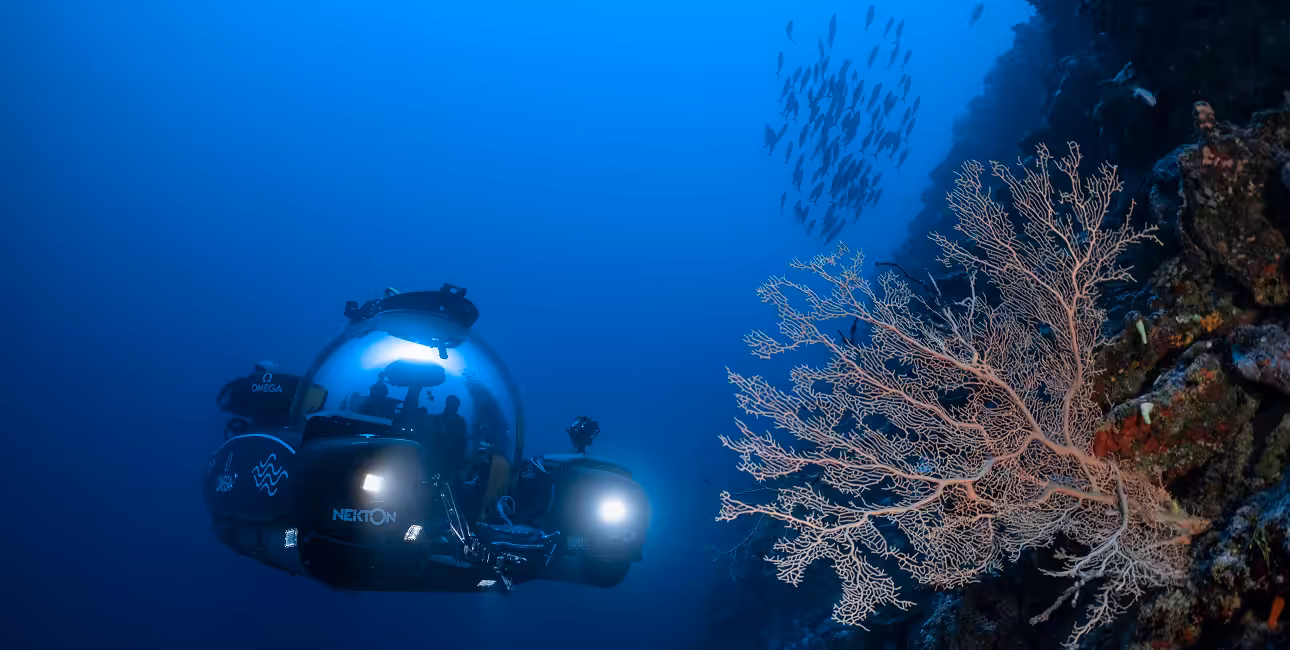 Un sous-marin explore les récifs coralliens des Maldives, révélant la richesse de la biodiversité marine. #ExplorationSous...