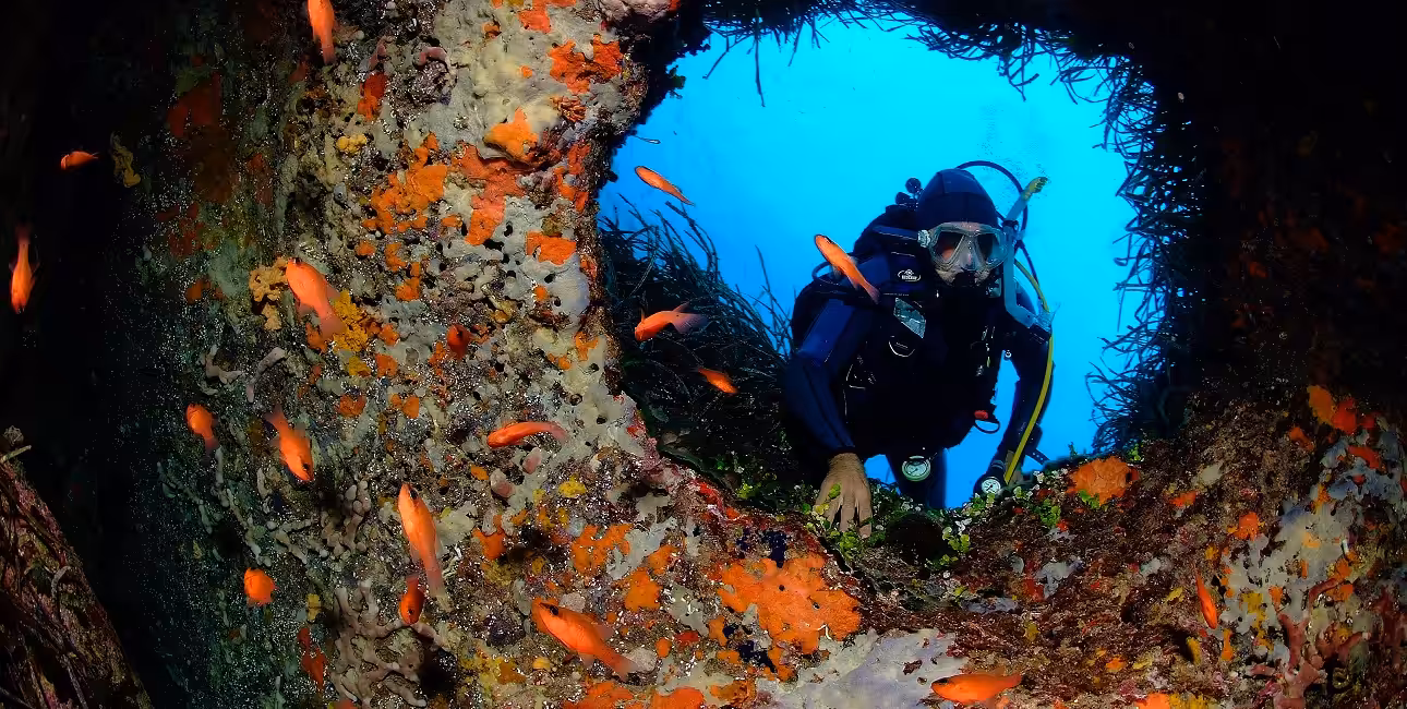 Un plongeur explore une épave colorée entourée de poissons tropicaux, révélant la richesse sous-marine de Sainte-Marie. #P...