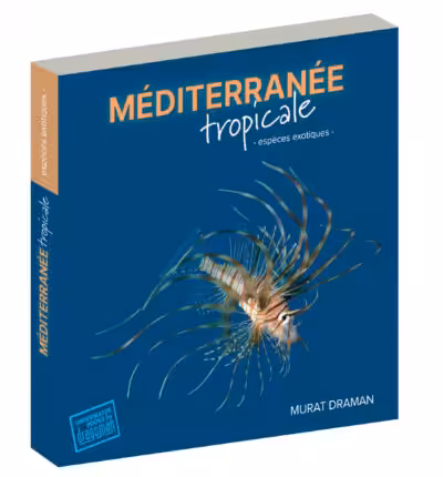 Découvrez les espèces exotiques de la Méditerranée dans ce guide captivant, essentiel pour les passionnés de plongée.