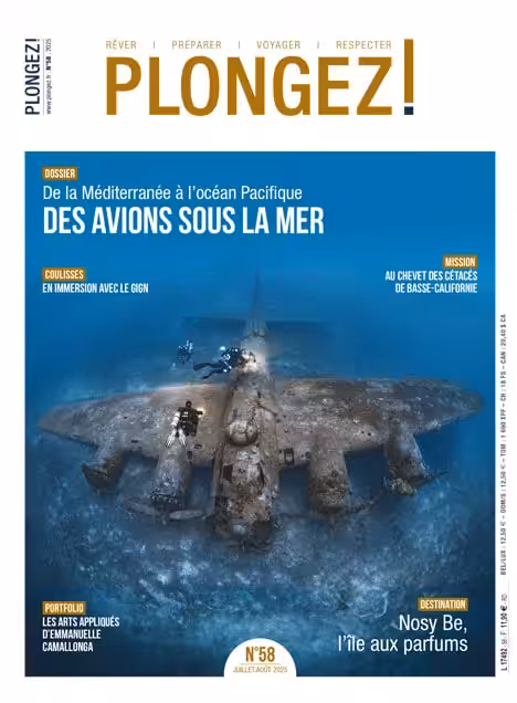 Plongeurs explorant une épave d'avion sous-marine, symbole fascinant de l'aventure et de la découverte dans les profondeur...