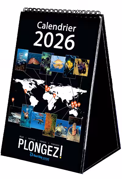 plongee-cladendrier-2026 plongee-cladendrier-2026
