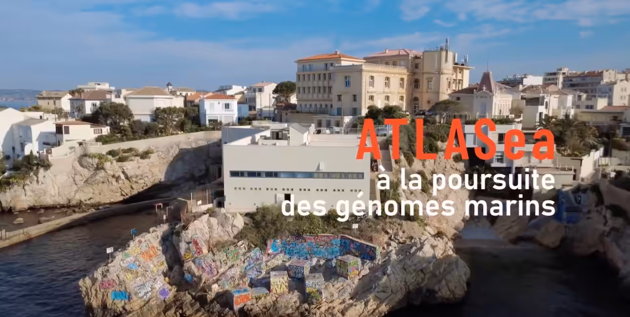 Recherche sur les génomes marins à ATLASea, un centre innovant en biologie marine.