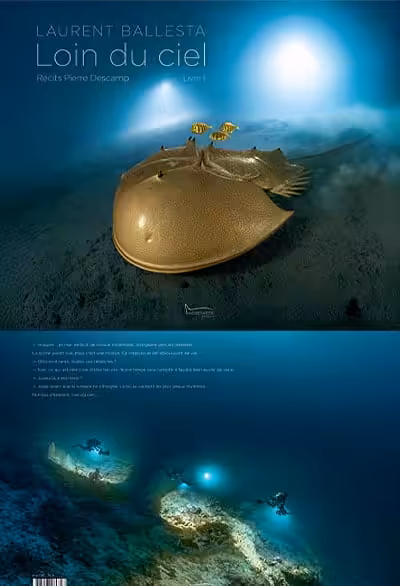 loin-du-ciel-ballesta