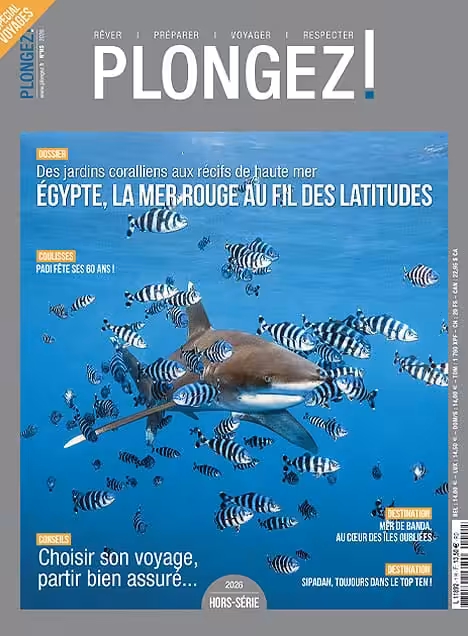 magazine-plongez-hors-serie-ete-1.