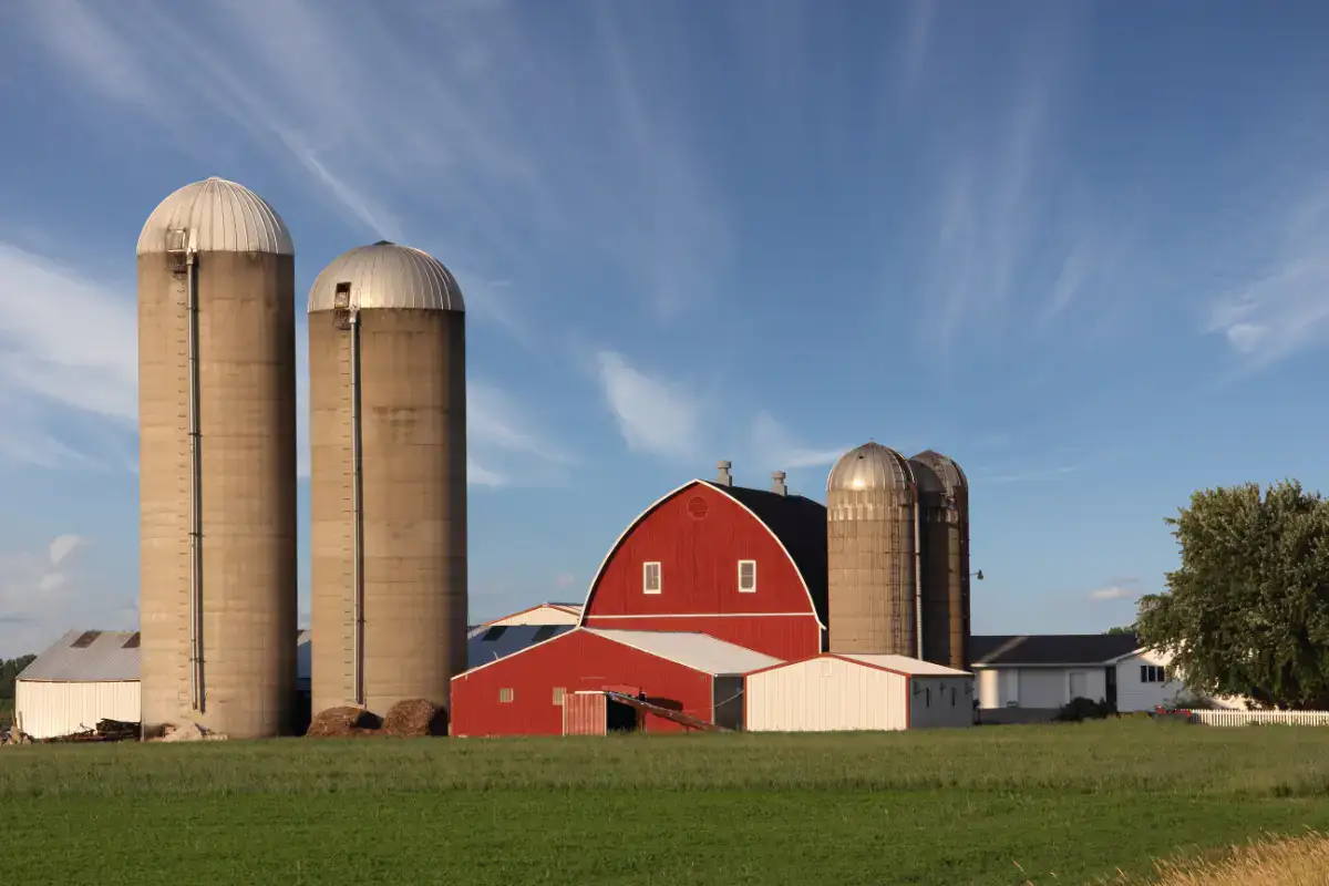 Family Farm