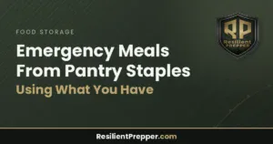 Read more about the article Emergency Meals From Pantry Staples: Using What You Have