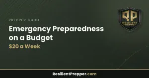Read more about the article Emergency Preparedness on a Budget: $20 a Week