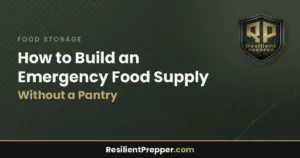 Read more about the article How to Build an Emergency Food Supply Without a Pantry