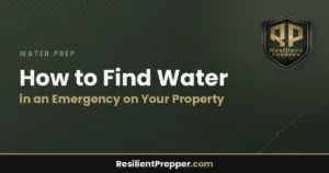 Read more about the article How to Find Water in an Emergency on Your Property