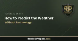 Read more about the article How to Predict the Weather Without Technology