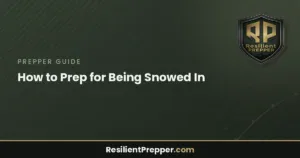 Read more about the article How to Prep for Being Snowed In