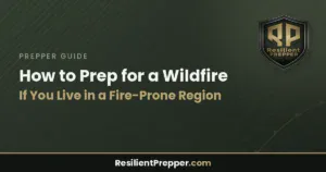 Read more about the article How to Prep for a Wildfire If You Live in a Fire-Prone Region
